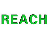 REACH Regulation